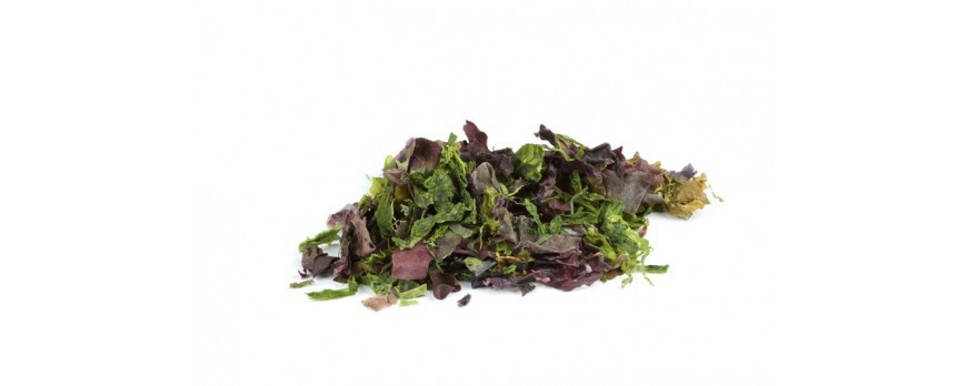 A seaweed salad with exceptional virtues