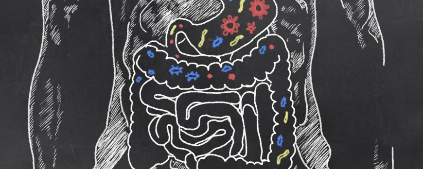 Des pistes naturelles aux problèmes intestinaux